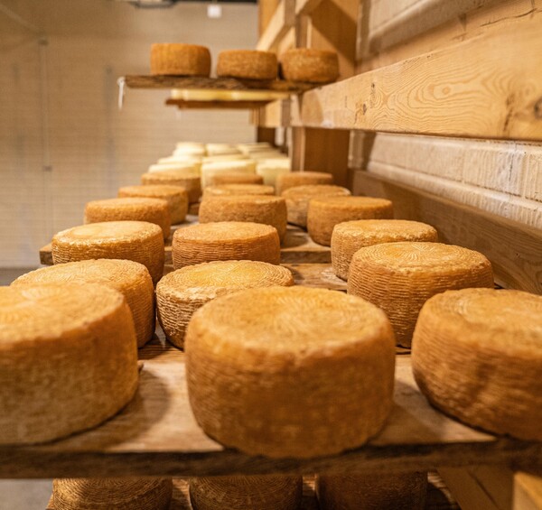 pexels-nc-farm-bureau-mark-8287391-1