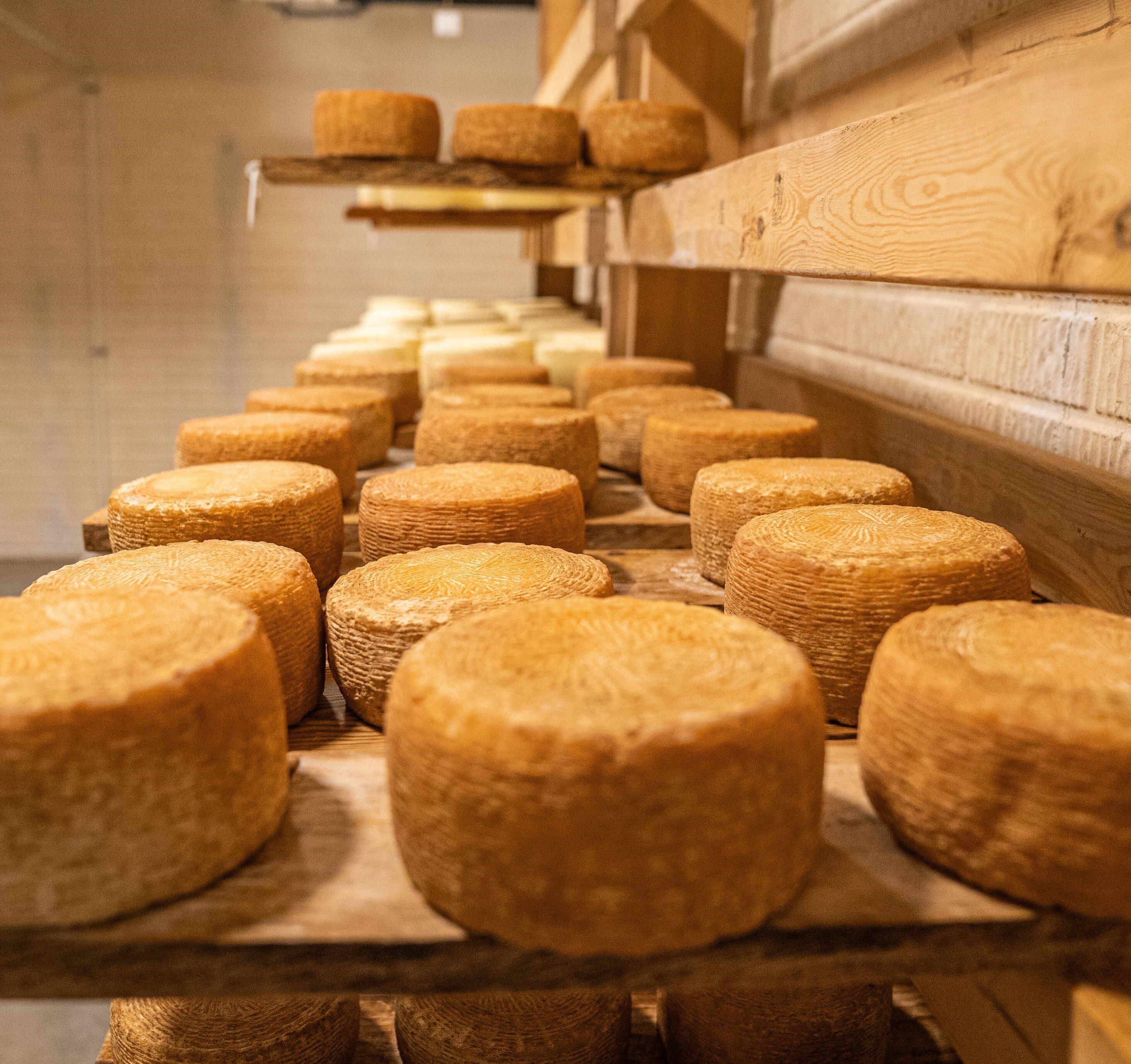 pexels-nc-farm-bureau-mark-8287391